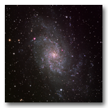 M33