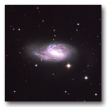 M66